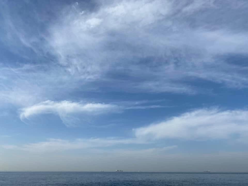 「しなやかに白鳥が舞う日」~チャイコフスキー作曲白鳥の湖~ のパフォーマンスを再演させて頂いています
