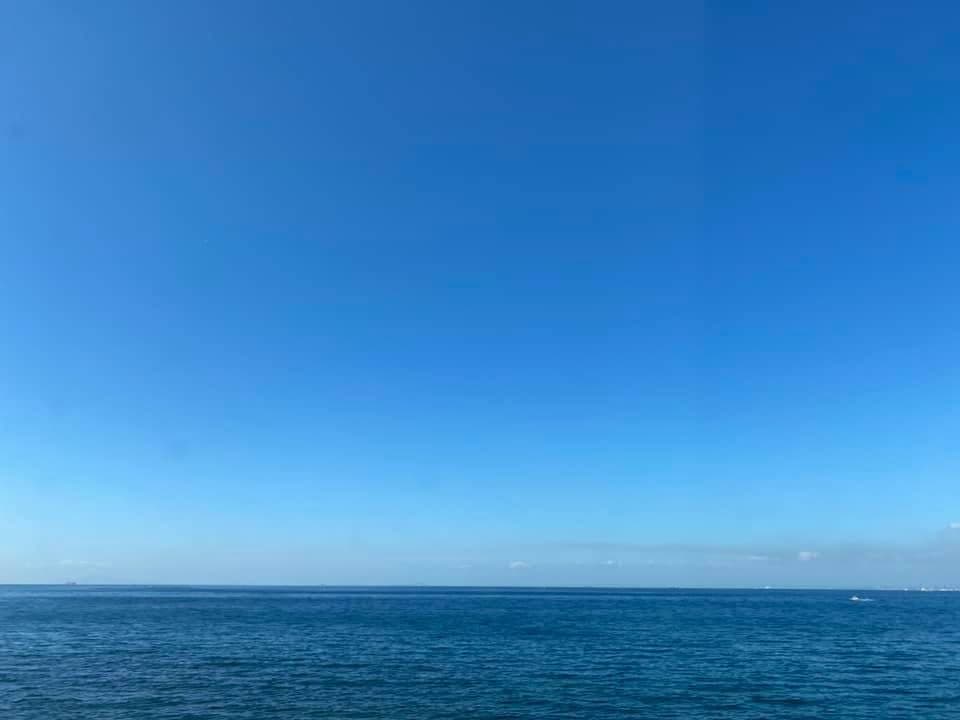 11月2日白鳥の湖ハイライトの初演です
