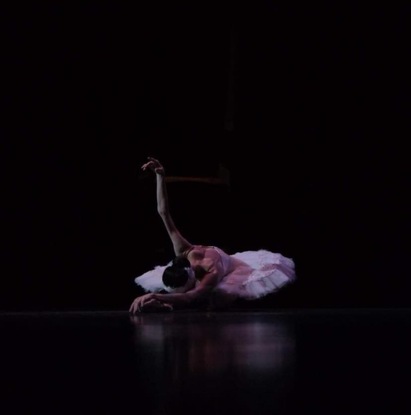 Ballet Russe (collection by Mr.Kenji Usui)